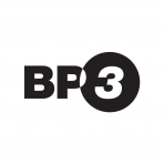 BP3 Global Inc logo