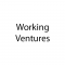 Working Ventures logo