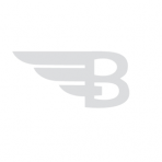BitAngels logo