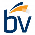BV Investment Partners IX logo