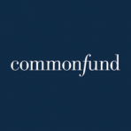 Commonfund Capital International Partners VIII LP logo