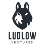Ludlow Ventures Detroit I-A LP logo