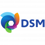 Royal DSM NV logo