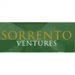 Sorrento Associates Inc logo