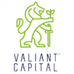 Valiant Capital Partners logo
