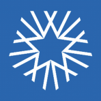 White Star Capital logo